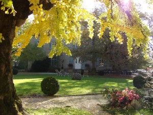 Chateau-Gingko